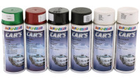 Paint spray Dupli Color