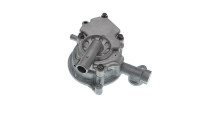 Motoflow water pump