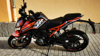 Decalset Radical Racing Licensed by KTM