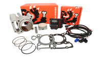 Cylinder kit & Tuning ECU Malossi 166cc Force Master 2.1