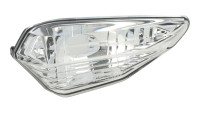 OEM Kawasaki Turn signal glass