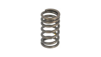 Valve spring Aprilia OEM