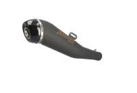 Slip- On rear silencer Radical Racing GP Carbon Black Line