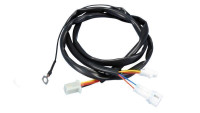 Polini wiring harness