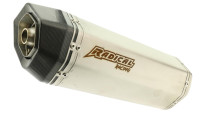 Exhaust system Radical Racing Pro