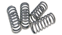 Clutch springs EBC