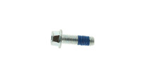 Screw / Brake disc screw