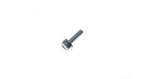 Brake disc screw