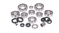 Engine Bearing & Sealing Ring Set