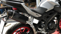 Exhaust system Radical Racing Half-Carbon Underseat