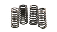 Clutch springs EBC reinforced