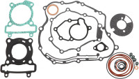 Engine Motoflow gasket set