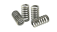 Clutch springs EBC