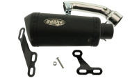 Slip-On rear silencer Shark DSX-10