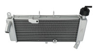 Radiator Aprilia TNT