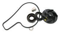 Water Pump Repair Kit KTM OEM