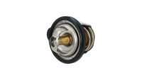 Thermostat Suzuki OEM