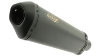 Slip-On rear silencer Shark DSX-10