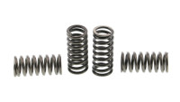 Clutch springs EBC reinforced